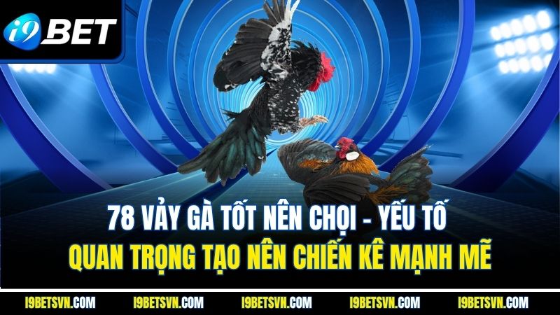 78 vảy gà tốt nên chọi - Yếu tố quan trọng tạo nên chiến kê mạnh mẽ
