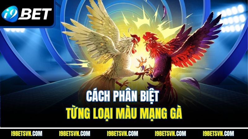 Cách phân biệt từng loại màu mạng gà
