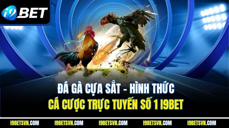  Đá Gà Cựa Sắt - Hình Thức Cá Cược Trực Tuyến Số 1 I9BET