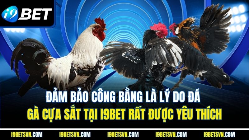 Đảm bảo công bằng là lý do đá gà cựa sắt tại I9BET rất được yêu thích