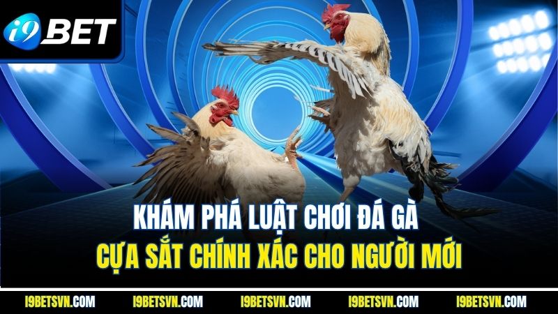 Khám phá luật chơi đá gà cựa sắt chính xác cho người mới