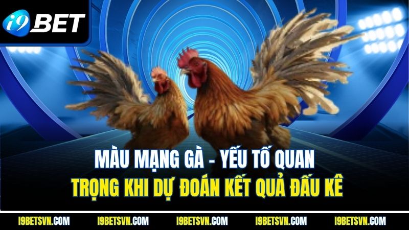 Màu Mạng Gà - Yếu Tố Quan Trọng Khi Dự Đoán Kết Quả Đấu Kê