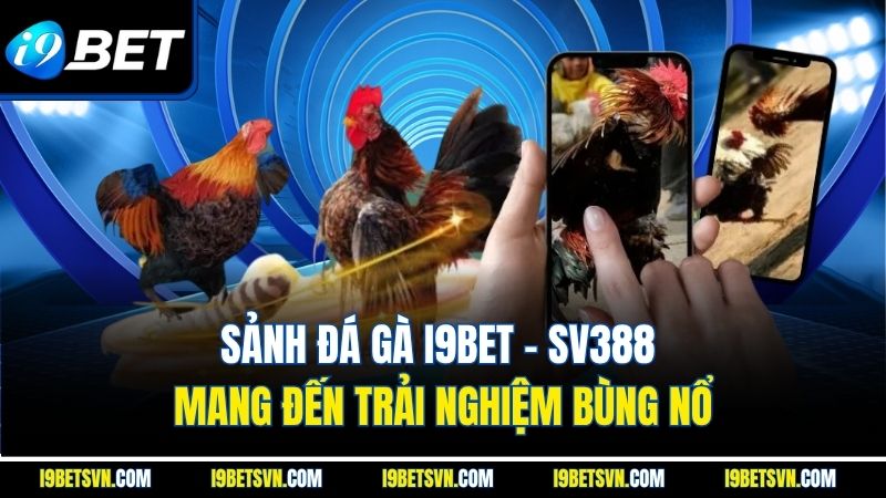 Sảnh đá gà I9BET - SV388 mang đến trải nghiệm bùng nổ