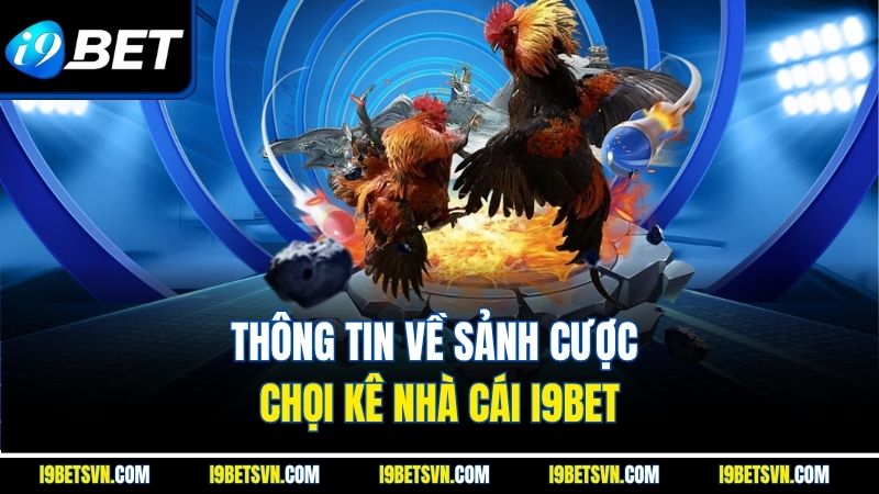 Thông tin về sảnh cược chọi kê nhà cái I9BET